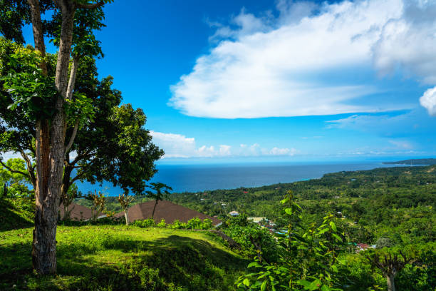 Lush tropical scenery captured in Siquijor, a beautiful island in the Philippines, views of the deep blue ocean surrounded by vivid green vegetation, and rural rooftops offer a tranquil and refreshing ambiance.