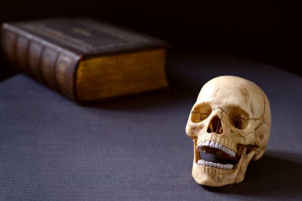 istock Artificial very realistic human skull on the table. Copy space. Dark background 2206035519