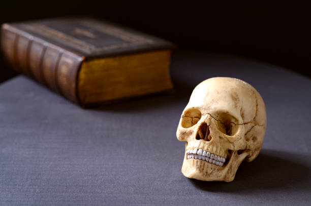 istock Artificial very realistic human skull on the table. Copy space. Dark background 2206035794