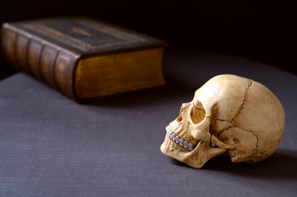 istock Artificial very realistic human skull on the table. Copy space. Dark background 2206035893