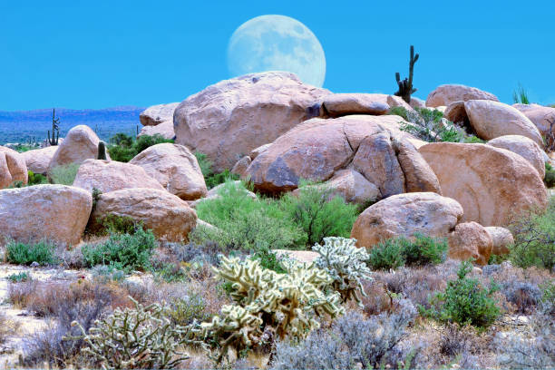 istock Sonora Desert Arizona Moonrise 2206037975