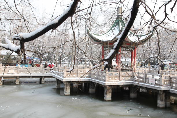 istock Snow scene in Xi 'an Revolution Park, which is a free old park. 2206038066