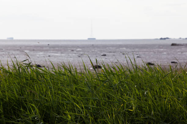 idyllic seascape