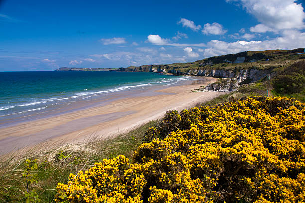 istock Portrush coastline - Northern Ireland. 2206043543