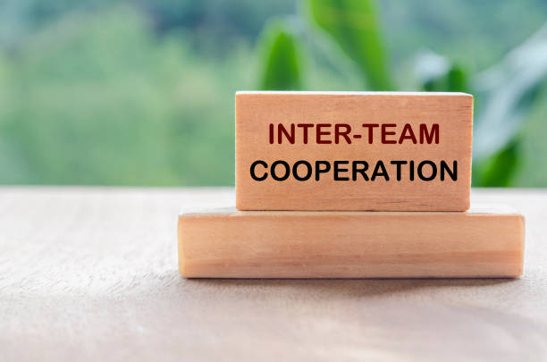 istock Inter Team Cooperation text on wooden block with blurred nature background. Teamwork and collaboration concept 2206043730