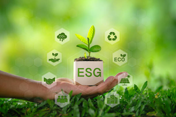 istock Environment and esg concept tree growing in cardboard box nature background and environment icons 2206055073