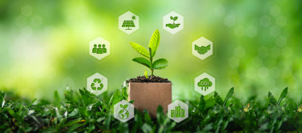 istock Environment concept of young tree in a cardboard box. Environment and nature conservation icon around. 2206055081