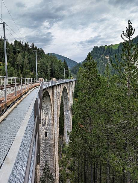 istock A train crosses a bridge in the mountains, surrounded by trees 2206055775