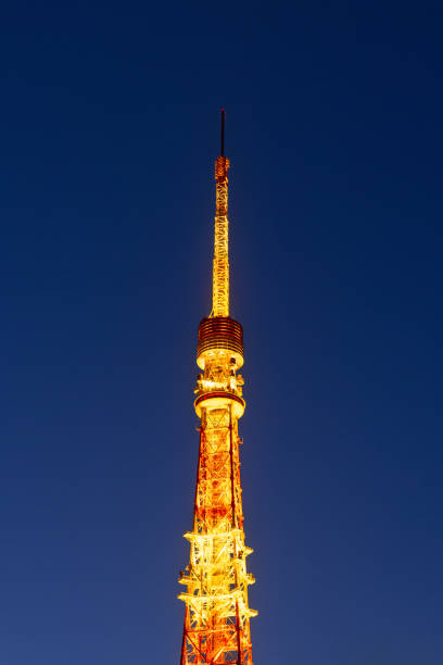 Tokyo Tower stands illuminated in warm golden light against the dark evening sky emphasizing its structure and clean vertical composition with a striking color contrast