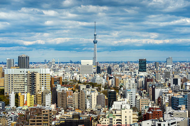 Panorama of Tokyo cityscape in Japan. stock photo