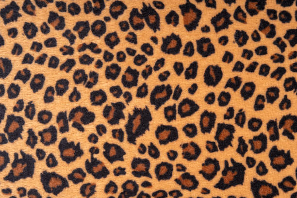 Close up of leopard fur texture as background