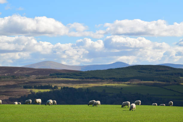 Sunlight through clouds casts shadows on the Sperrin Mountains seen from a distance looking south from Ervey Cross