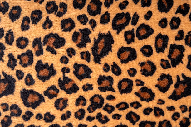 istock Close up of leopard fur. Background and texture concept 2206065389