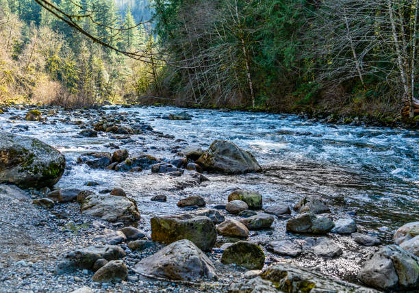 A detail view of the Snoqualmie River near Twin Falls in Washington State.
