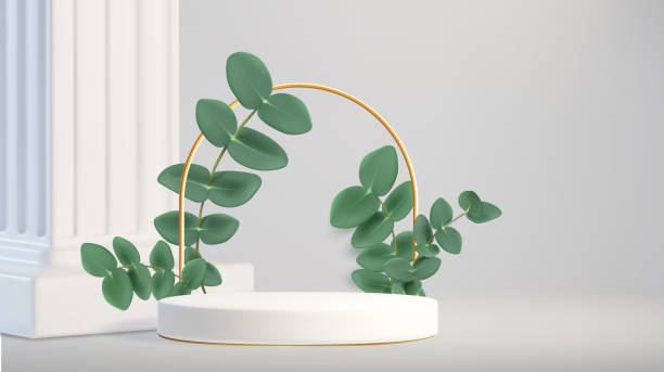 istock White podium pedestal with plant leaves branch 2206069057