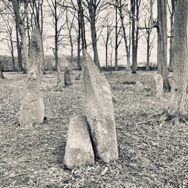 Ales Stenar stone circle, stone ship oval in outline in Scania in southern Sweden.
