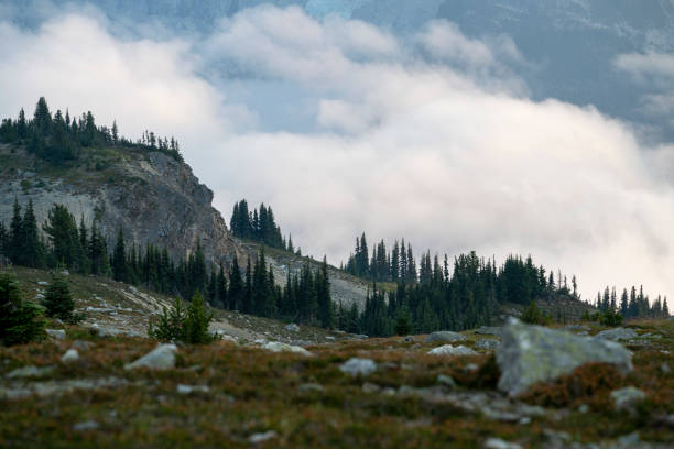 View from mountain pass to mountain peak in clouds, Garibaldi Provincial Park, British Columbia