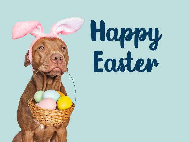 istock Lovable, pretty puppy and a basket of Easter eggs 2206076841