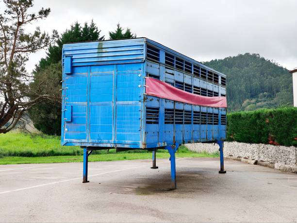 Trailer of a parked truck without a cab.