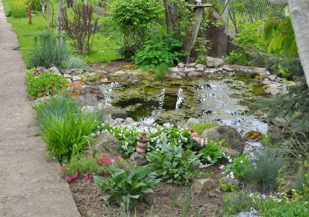 istock Flowerbed in the gardeno 2206080875