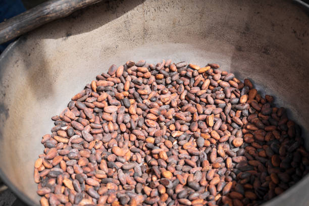 istock Roast cocoa beans in a bowl 2206083033