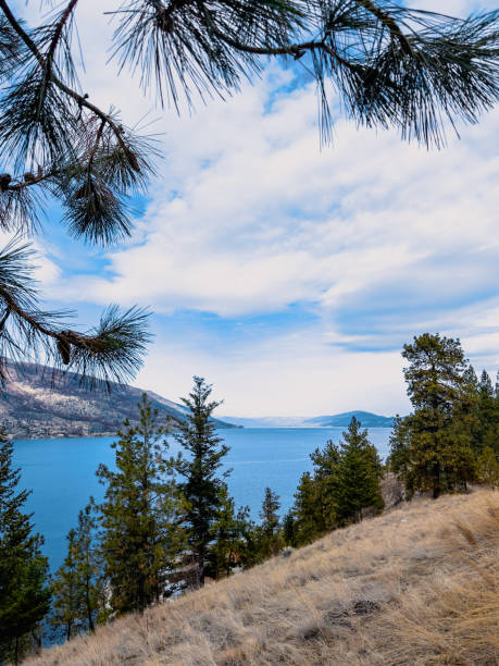 istock Lake views from a hillside with evergreen trees 2206088791