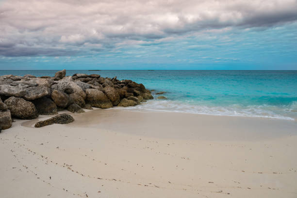 Travel photo of rocks on white sandy beach, turquoise colored sea and cloudy sky in Bimini, The Bahamas