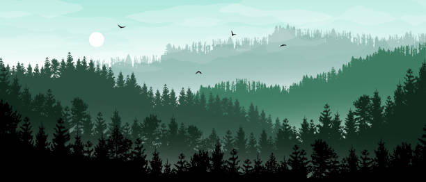 Beautiful realistic widescreen vector landscape with dark green forested mountains. Beautiful realistic widescreen vector landscape with dark green forested mountains. woodland stock illustrations