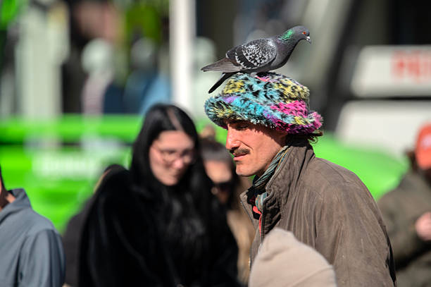 Close Up Man With Pigeon On His Head At Amsterdam The Netherlands 17-2-2025