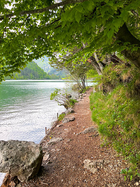 istock A small narrow walking path along the lake under the tree branches 2206092316