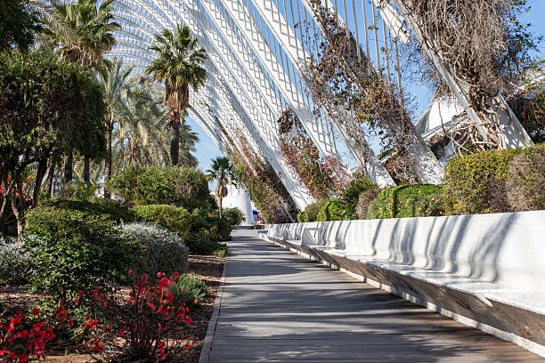 istock beautiful park in valencia. path in the park 2206098671