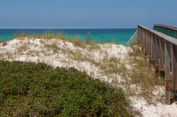 istock A beachfront is a coastal area where land meets the ocean, sea 2206100728