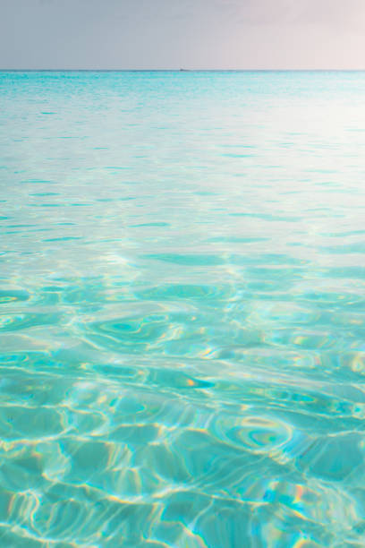 istock Abstract Seascape: Crystal-Clear Turquoise Waters with Gentle Ripples, Curacao 2206103365