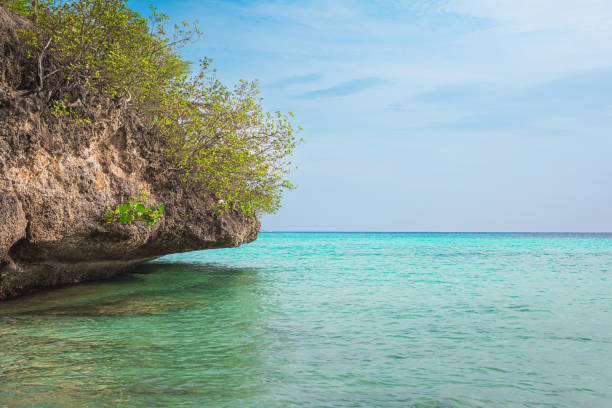 Reef cliff above the crystal-clear waters of Portomari Beach, Curacao, with lush foliage growing over limestone rock and a clean horizon to the right.