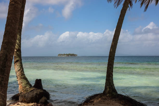 This photograph captures a breathtaking tropical beach scene with golden sand meeting the crystal-clear turquoise waters of the ocean. Gentle waves roll onto the shore, creating a foamy contrast against the sand. The sky is a brilliant blue, dotted with fluffy white clouds that add depth to the composition. On the right side of the frame, a cluster of tall, lush palm trees leans slightly over the shoreline, their fronds swaying in the breeze. The rich green hues of the palms provide a striking contrast to the bright sky and the deep blues of the ocean. In the foreground, a weathered log rests on the sand, adding a rustic, natural element to the scene. The horizon stretches far into the distance, with faint silhouettes of islands barely visible, enhancing the sense of tropical seclusion and serenity