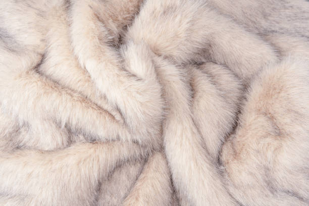 istock Texture of faux fur as a background, top view. 2206107584
