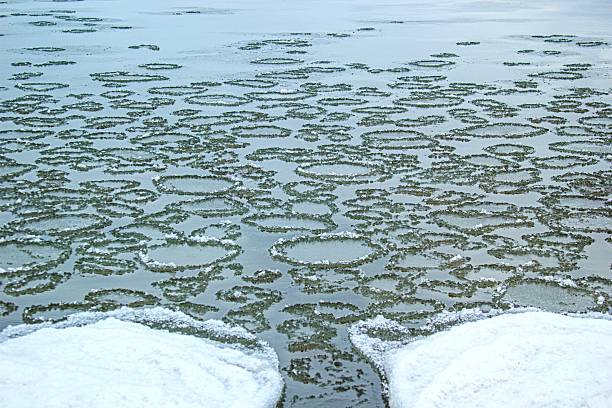 Ice discs natural phenomenon