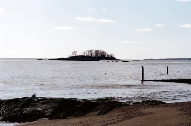 frozen sea water