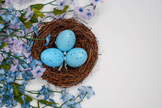istock Easter holiday decoration with colorful eggs and festive ornaments 2206119303