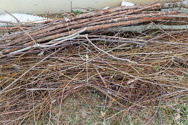 A Pile Of Twigs Tied Up In A Bundle