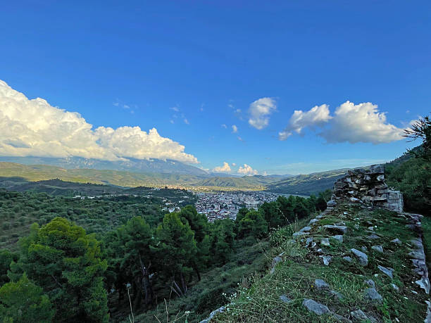 istock Lush green valley framed by trees and a winding path under sunny sky 2206123420