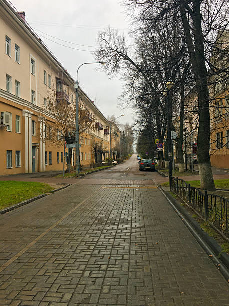 istock Paved pathway between buildings with trees and a cloudy sky above 2206123526