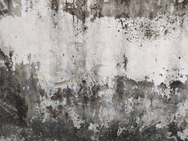 istock Old Concrete Wall with Mold Stains and Peeling Paint 2206128431