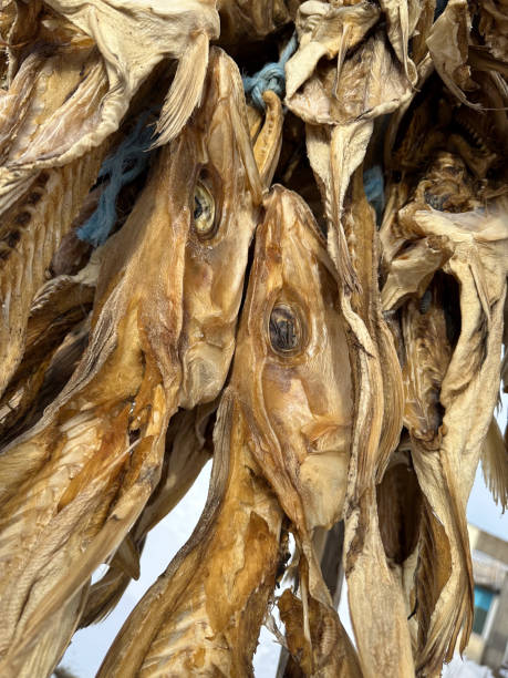 istock wind dried fish seen in Iceland 2206129446