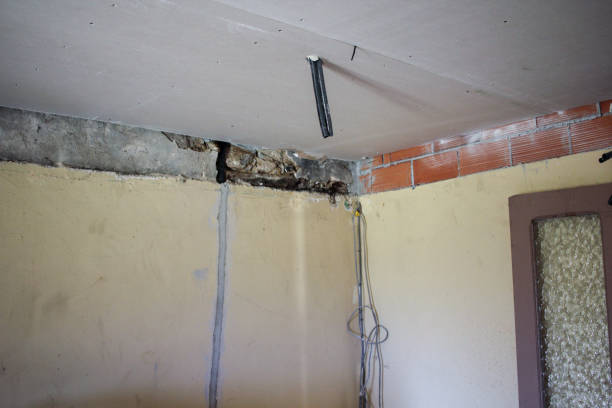 istock ceiling and walls in an old house to be painted 2206129552