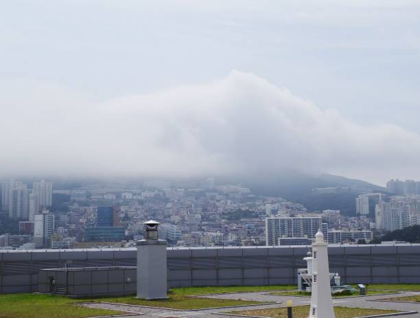 Summer fog on the mountain