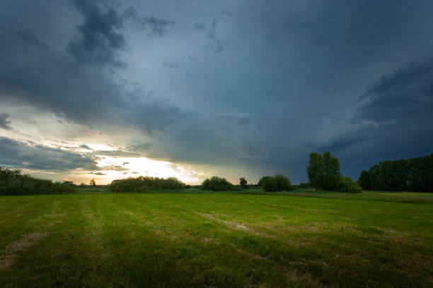 A dark rain cloud over a green meadow, Nowiny, Lubelskie, Poland