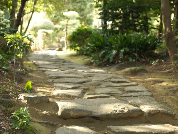 istock Japanese garden walkway 2206141562