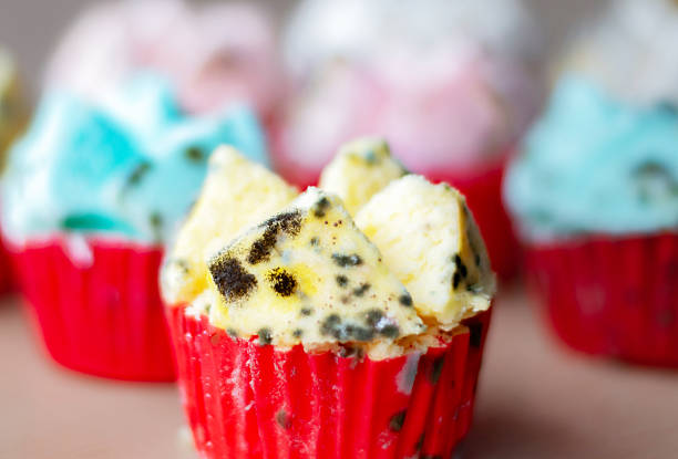 istock Rotten food and dessert 2206143598