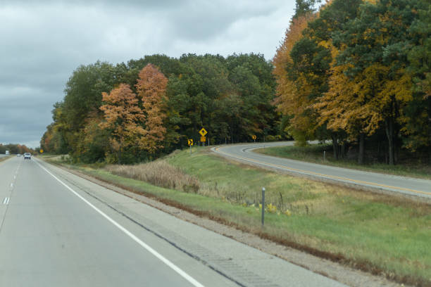 A road with a sign, flanked by tall trees.